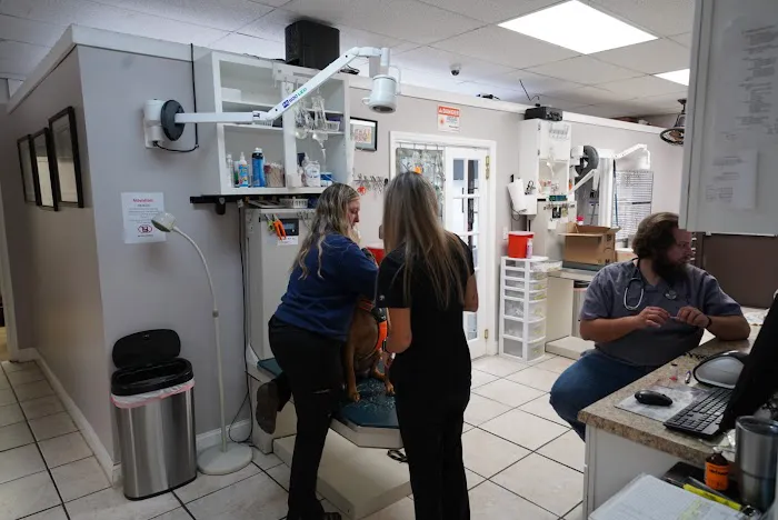 Southside Pet Clinic Picture 2
