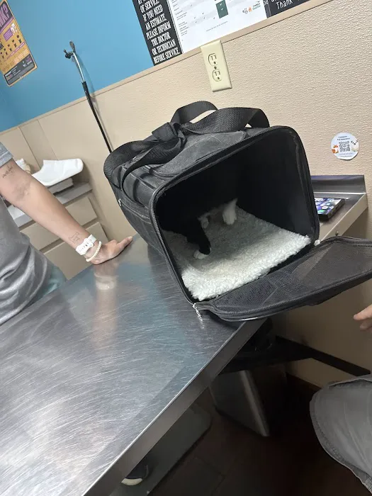 Animal Hospital PC Picture 1