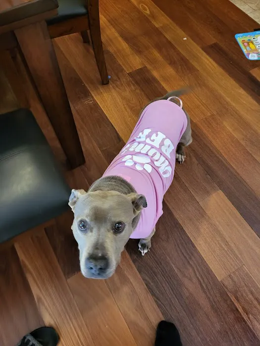 Blount Animal Clinic LLC Picture 2