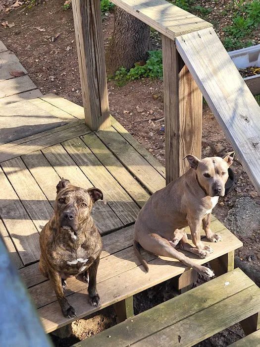 Blount Animal Clinic LLC Picture 4
