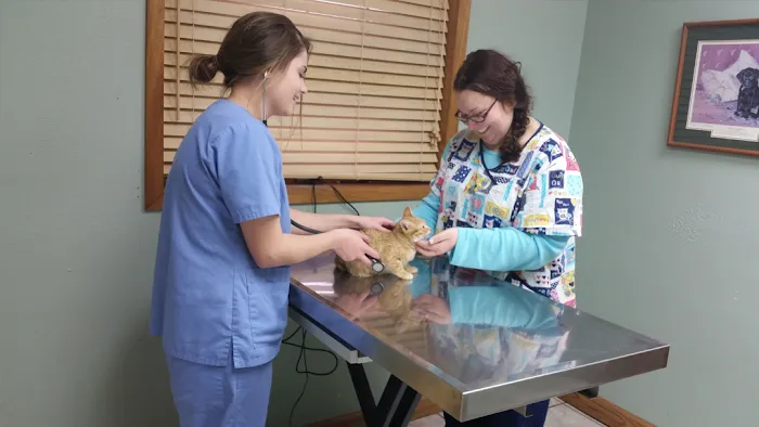 Garner Veterinary Clinic Picture 5
