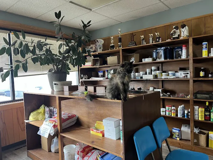 Allison Vet Service Picture 5