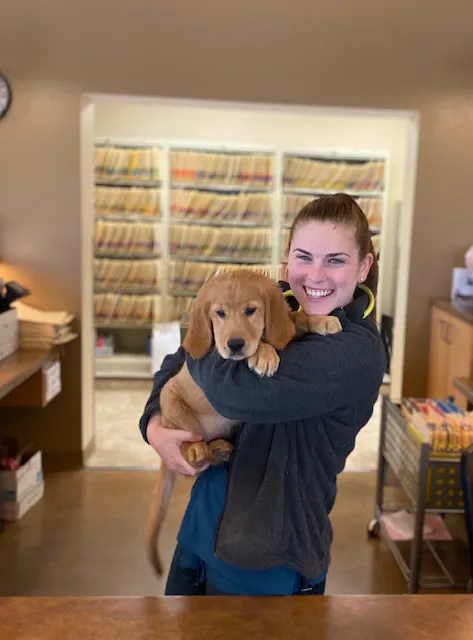 Waverly Veterinary Clinic PC Picture 9