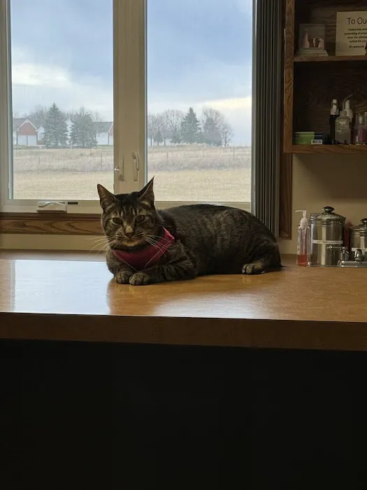Avenue of the Saints Animal Hospital Picture 10