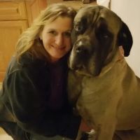 Fredericksburg Veterinary Clinic and Boarding, PC ico