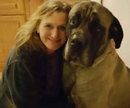 Fredericksburg Veterinary Clinic and Boarding, PC