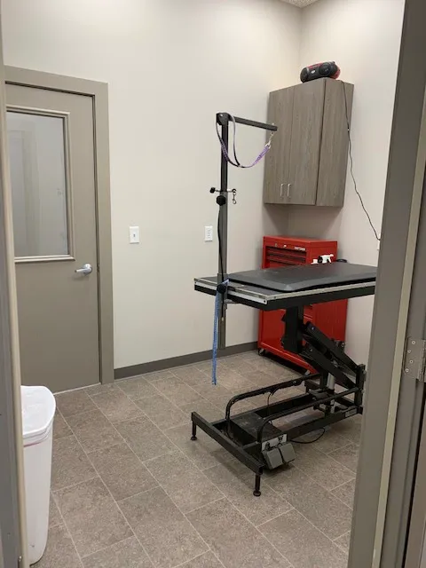 Fredericksburg Veterinary Clinic and Boarding, PC Picture 3