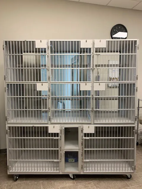 Fredericksburg Veterinary Clinic and Boarding, PC Picture 8
