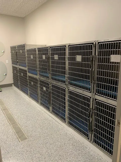 Fredericksburg Veterinary Clinic and Boarding, PC Picture 9