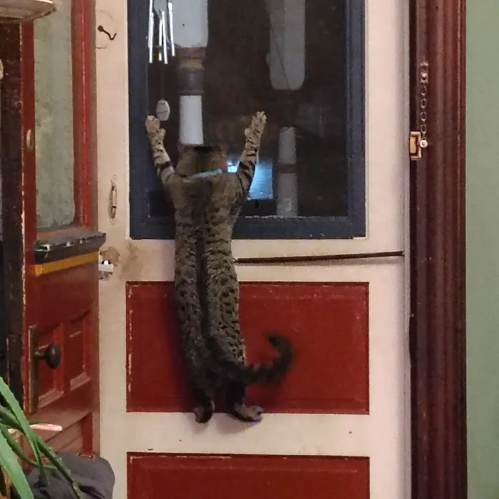 Parkersburg Veterinary Services Picture 2