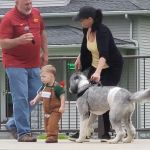 Highview Animal Hospital