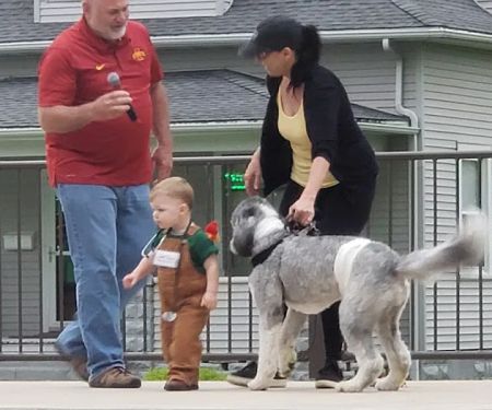 Highview Animal Hospital