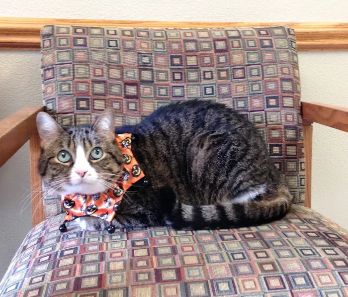 Taylor Veterinary Hospital Picture 1