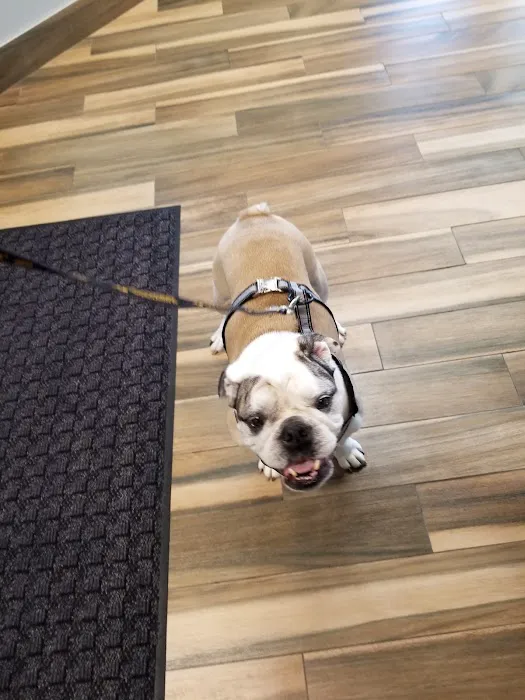 Cedar Valley Veterinary Center Picture 1