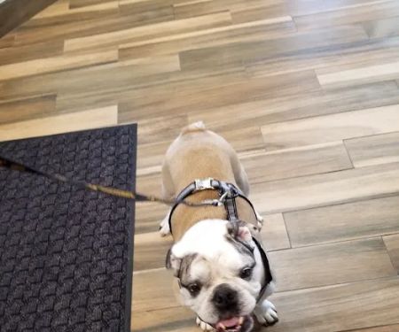 Cedar Valley Veterinary Center