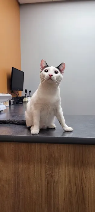 Cedar Valley Veterinary Center Picture 3