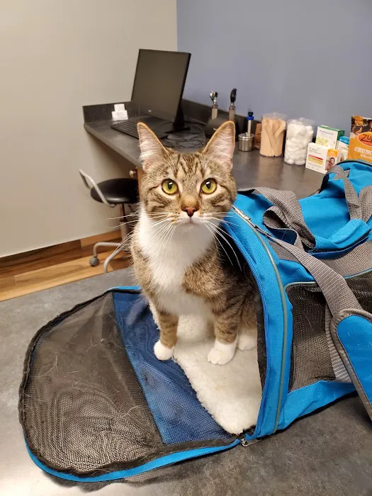 Cedar Valley Veterinary Center Picture 9