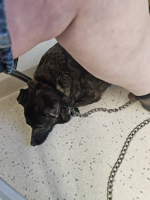 Logan Animal Hospital Picture 7