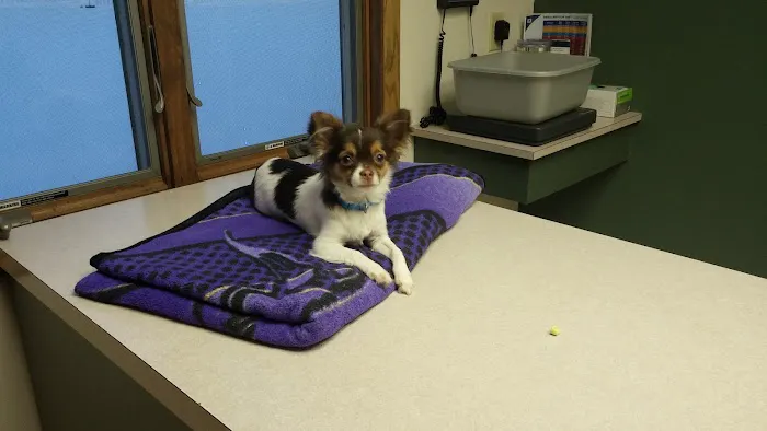 Logan Animal Hospital Picture 6