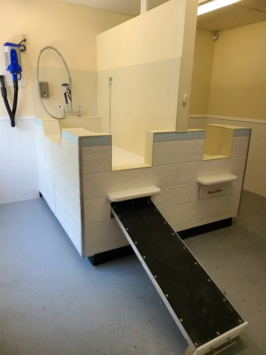Countryside Animal Hospital Picture 10