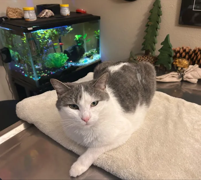 Driftless Veterinary Service, LLC Picture 2