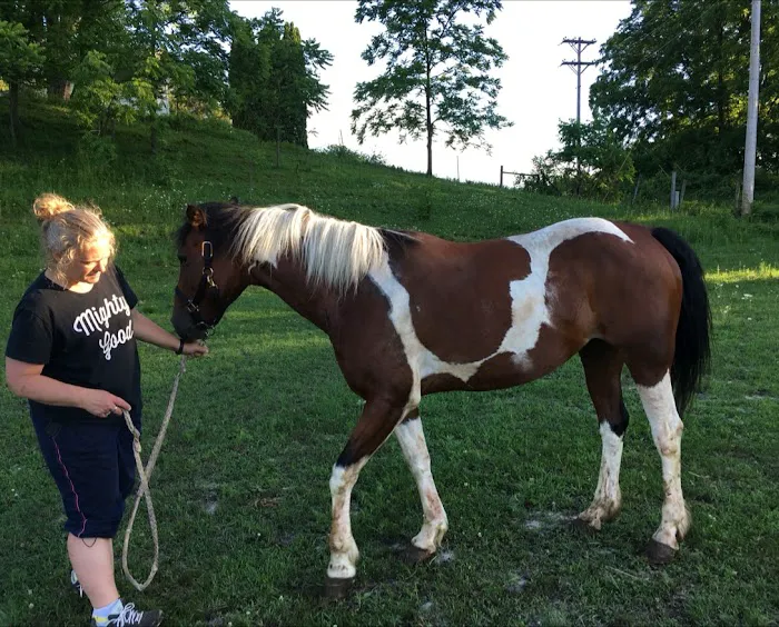 Driftless Veterinary Service, LLC Picture 4