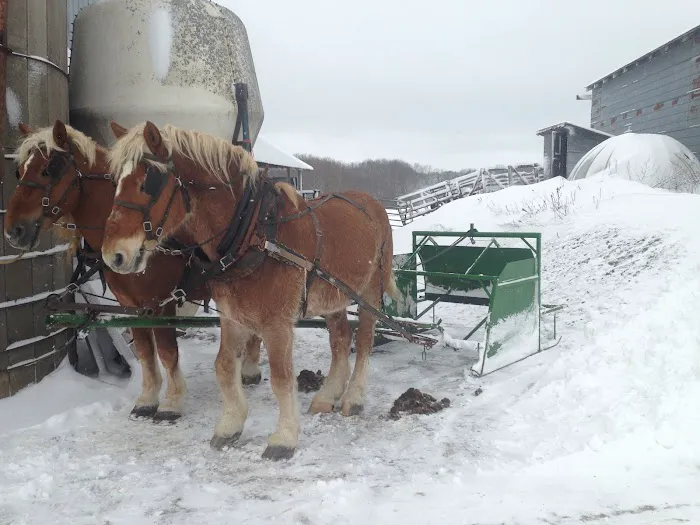 Driftless Veterinary Service, LLC Picture 7
