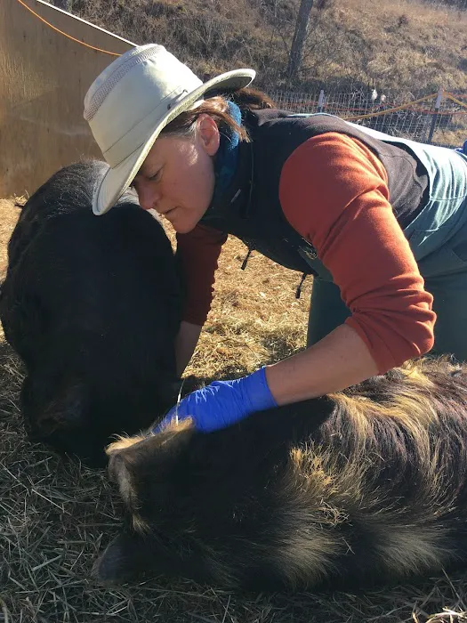 Driftless Veterinary Service, LLC Picture 10