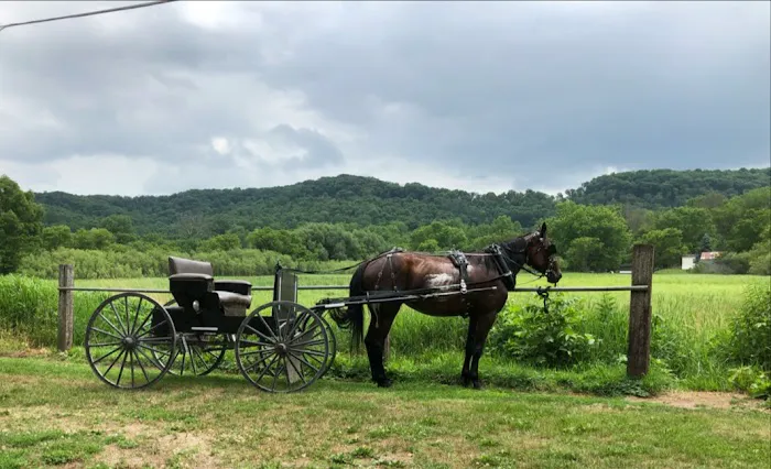 Driftless Veterinary Service, LLC Picture 9