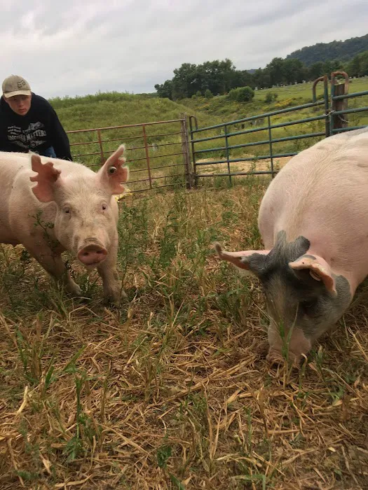 Driftless Veterinary Service, LLC Picture 8