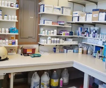 Hillsboro Veterinary Service