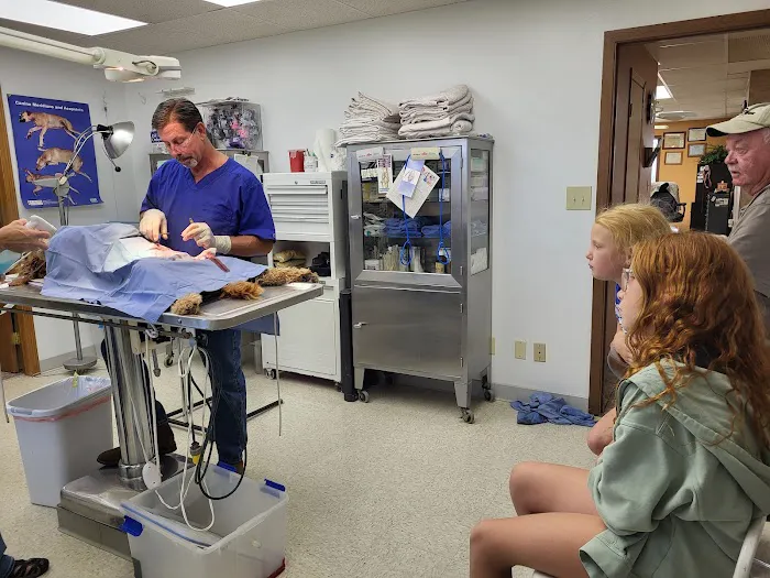 Monona Veterinary Services Picture 2