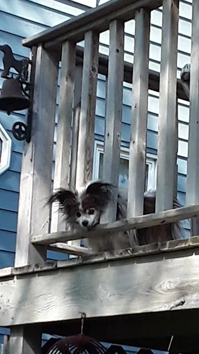Pelican Rapids Animal Hospital Picture 1