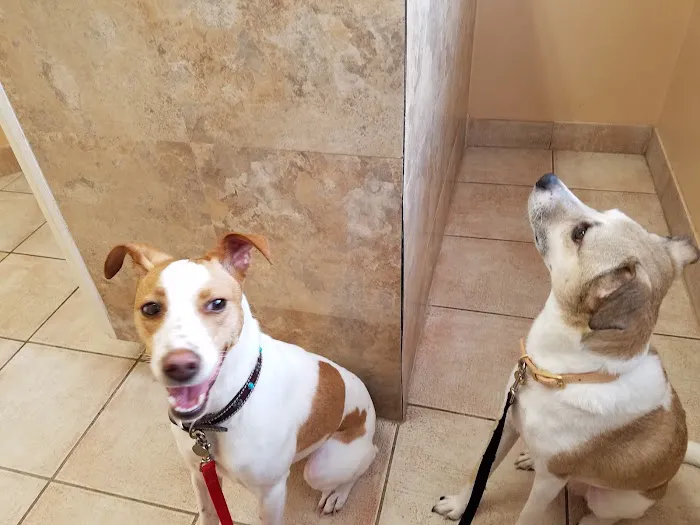 Prelesnik Animal Hospital Picture 3