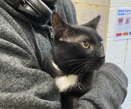 Haven Animal Hospital