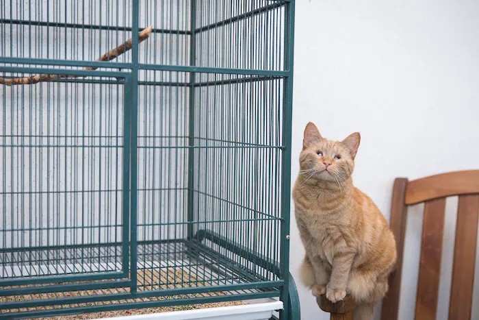 Haven Animal Hospital Picture 8
