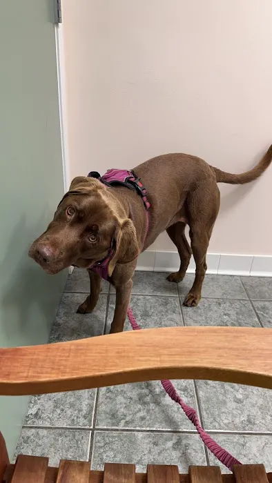 Haven Animal Hospital Picture 6