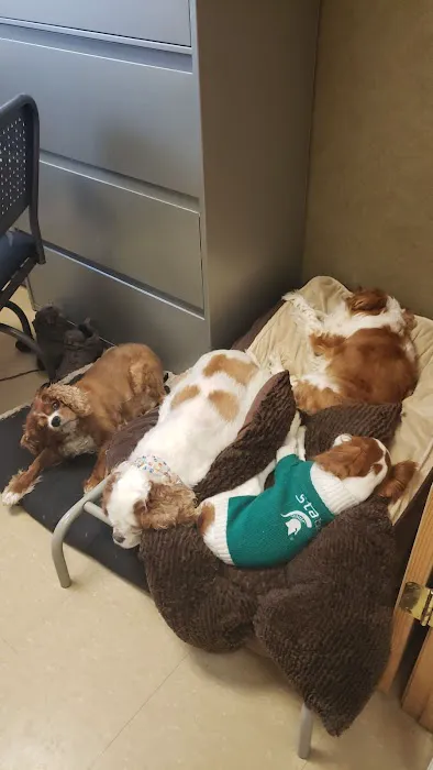 Lifetime Veterinary Care Picture 1