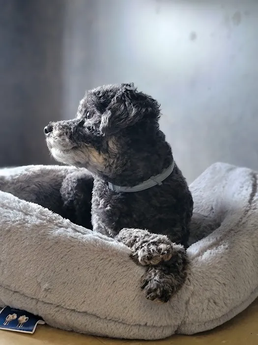 Lifetime Veterinary Care Picture 5