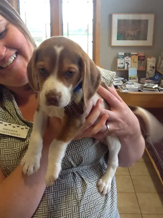 Robbins Road Animal Clinic Picture 7