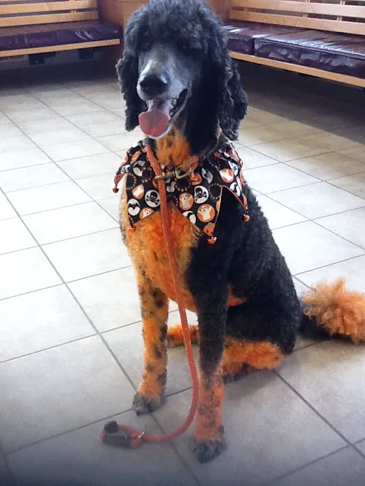 Robbins Road Animal Clinic Picture 10