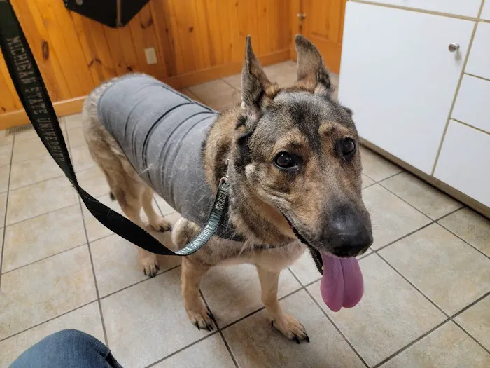 Country Veterinary Clinic Picture 9