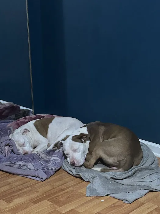 Oak Hill Animal Hospital Picture 4