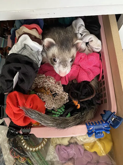 Oak Hill Animal Hospital Picture 6