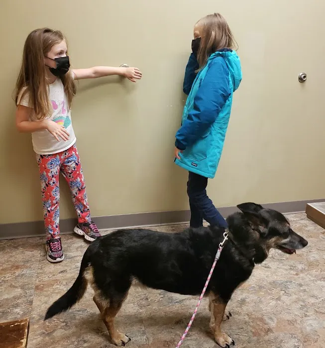 Oak Hill Animal Hospital Picture 9