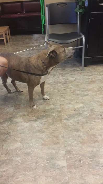 Oak Hill Animal Hospital Picture 8
