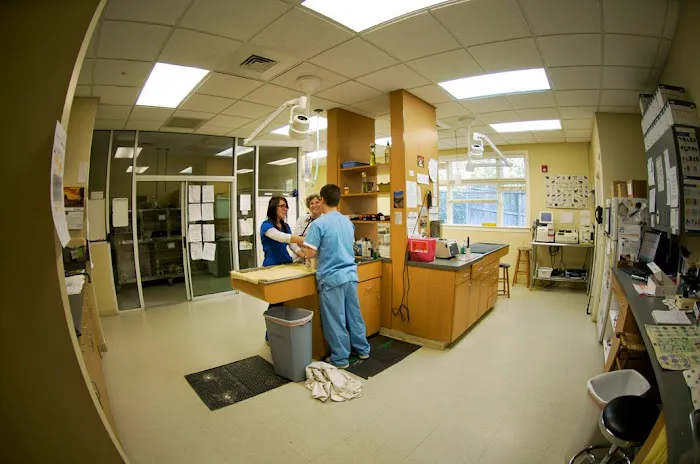 Treehouse Animal Clinic Picture 2