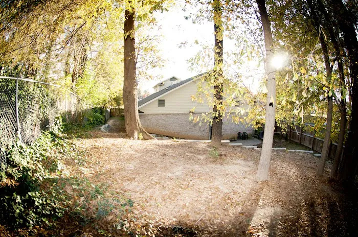 Treehouse Animal Clinic Picture 4