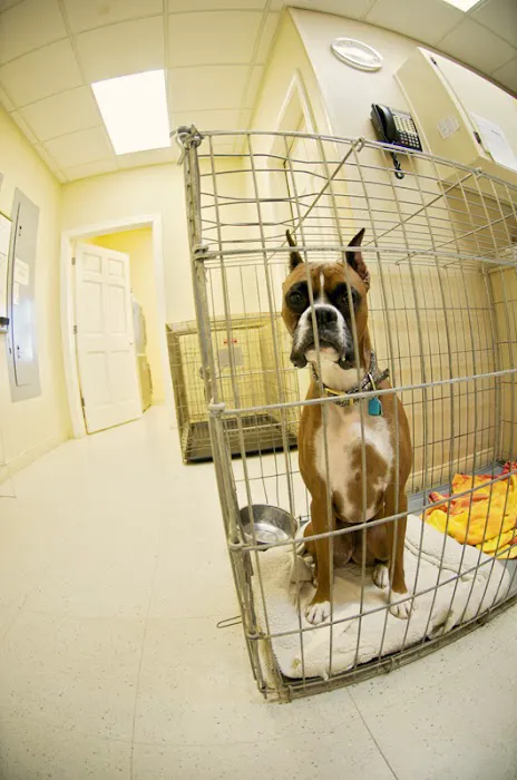 Treehouse Animal Clinic Picture 8