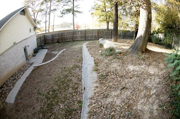 Treehouse Animal Clinic Picture 9